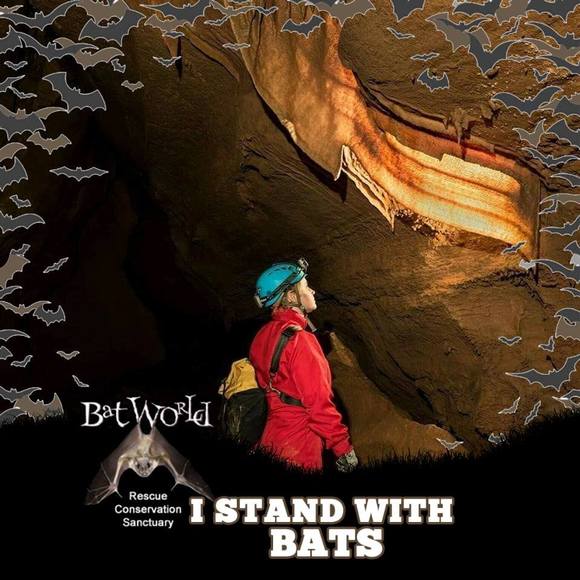 Meet your Posher, Tracy - Picture 1 of 1